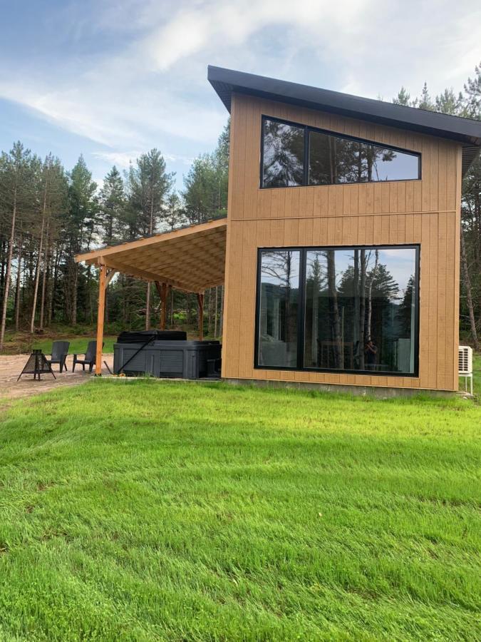 Vallee Bras Du Nord Jumeau #1 Avec Spa Saint-Raymond Exterior photo